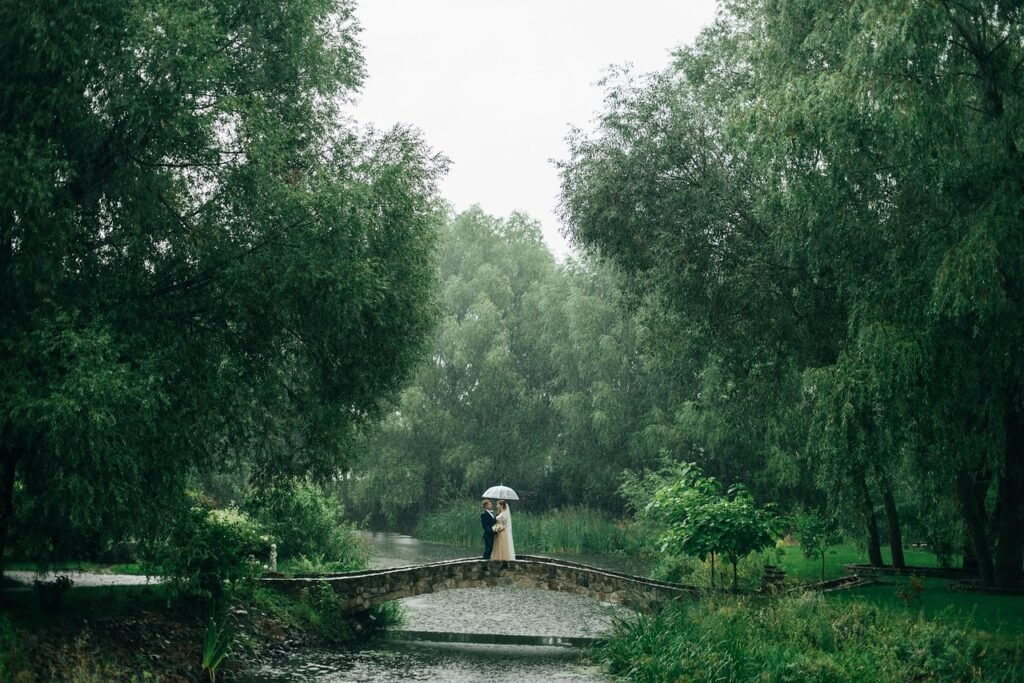 New Orleans Vows | Wedding Officiant in New Orleans park, rain, wedding, couple, wedding day, nature, wedding photography, raining, trees, forest, landscape, rain, rain, rain, rain, rain, wedding, raining